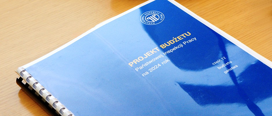 Projekt Budu017cetu PIP na 2024 r.